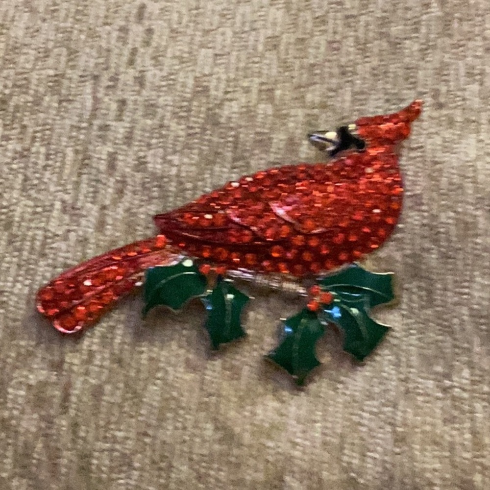 ❤️NWT Gorgeous Red Cardinal Rhinestone
Giant Brooch ❤️ - Picture 2 of 6